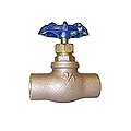 Globe Valves