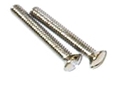 CP Overflow Plate Screws