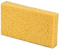 Sponge