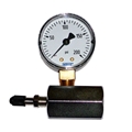 2" (0-200#) Gauge w/Body+Valve