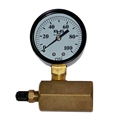 2" Gauge, Body & Valve, 0-100#