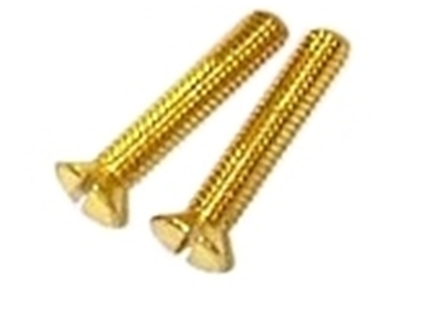 PB Overflow Plate Screws