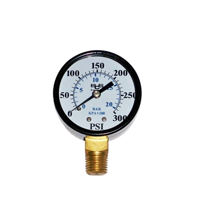0-300# 2" Pressure Gauge      