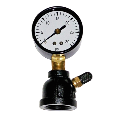 0- 30#, 2" Gauge, 3/4" Reducer