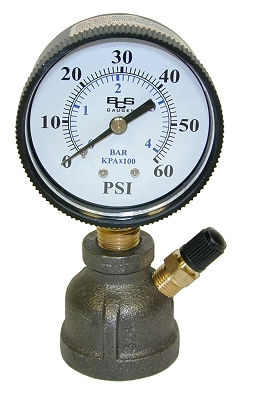 0- 60#, 2" Gauge, 3/4" Reducer